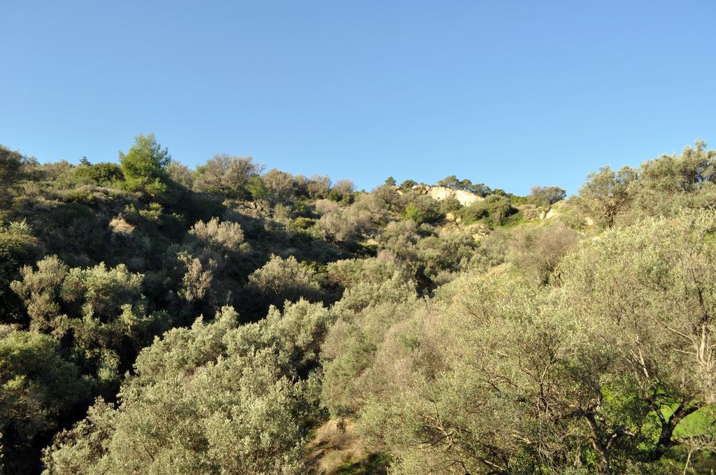 Evoikon Villa Ligia  Exterior photo